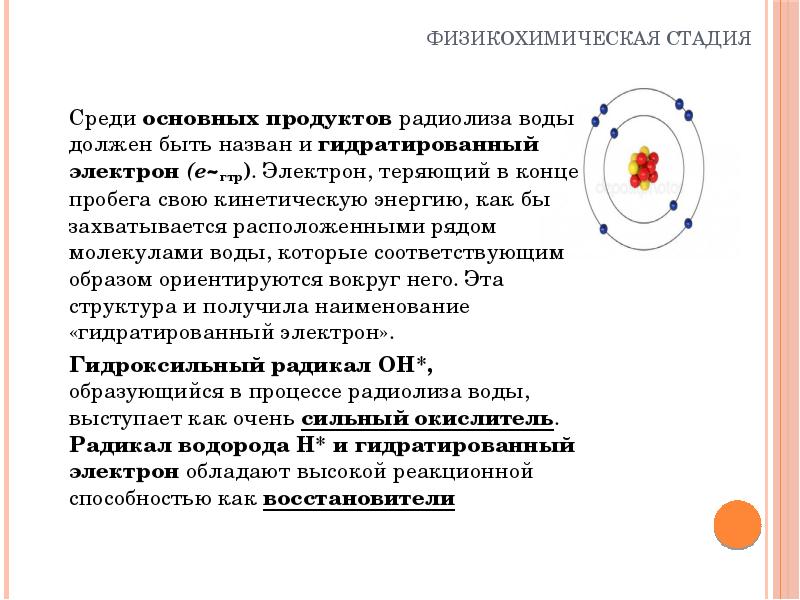 Стадии действия ионизирующих излучений