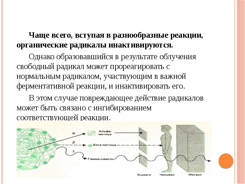 Стадии действия ионизирующих излучений