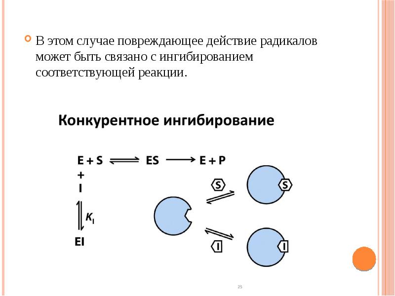 Стадии действия ионизирующих излучений. Повреждающее действие ионизирующих излучений. Действия над радикалами. Конкурирующие реакции.