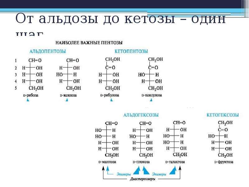 Кетозы примеры