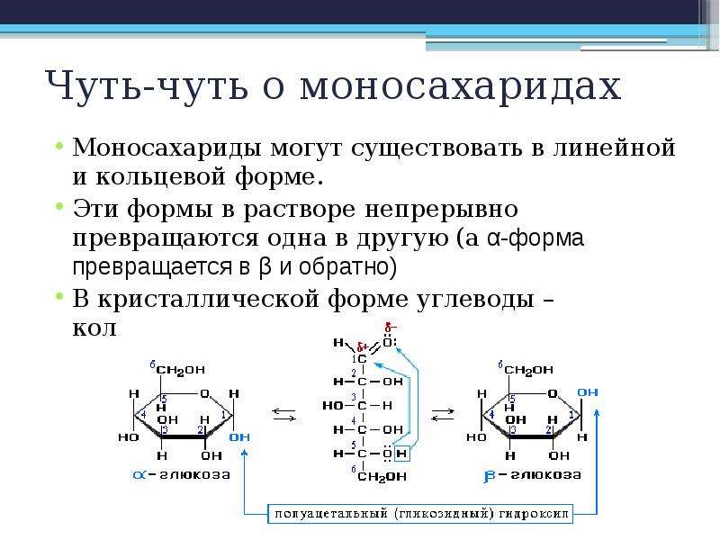 Презентация по теме моносахариды