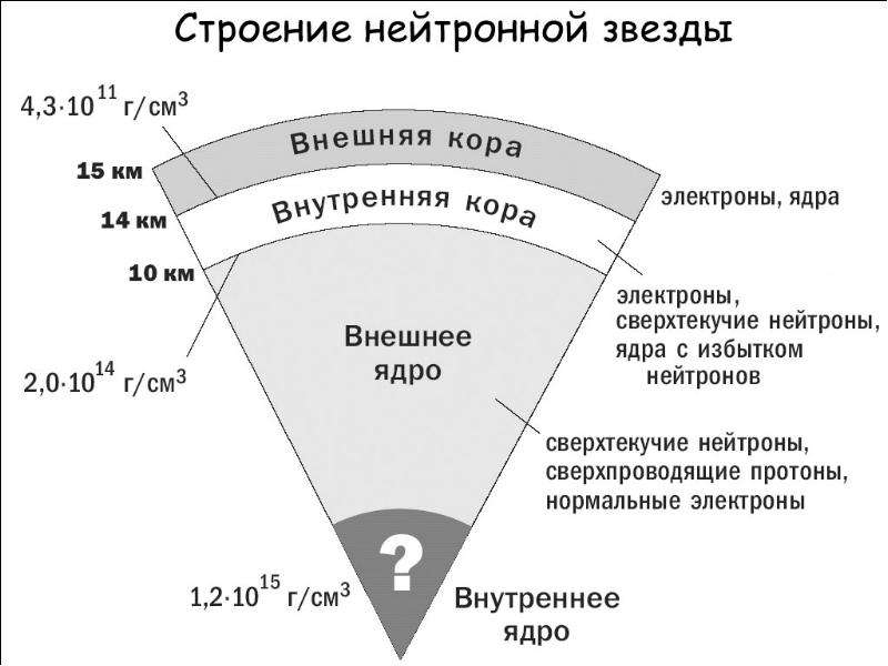 Строение звезд проект