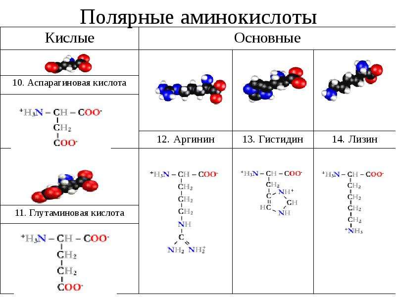 Молекулярная биология картинки