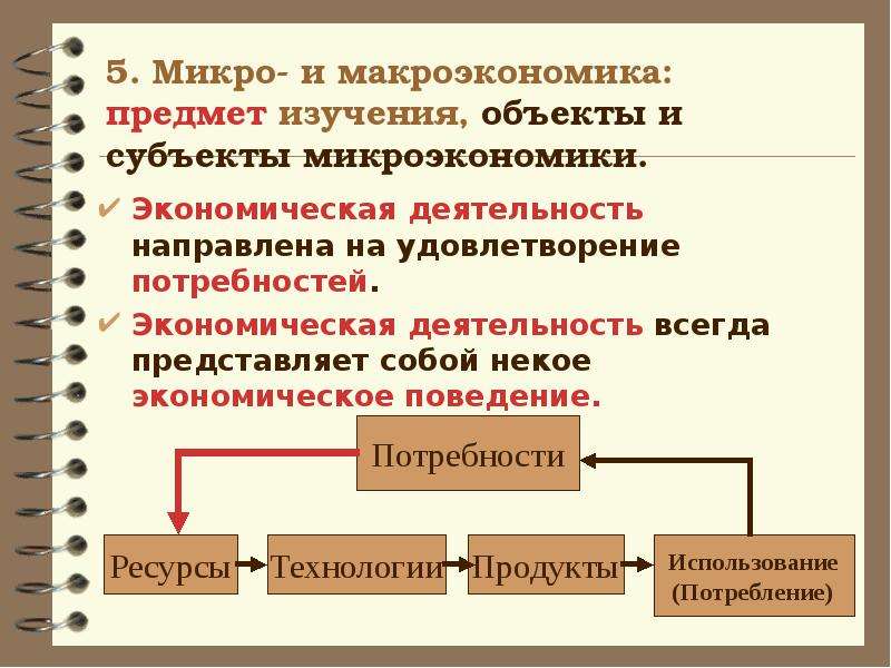 Происхождение науки экономика