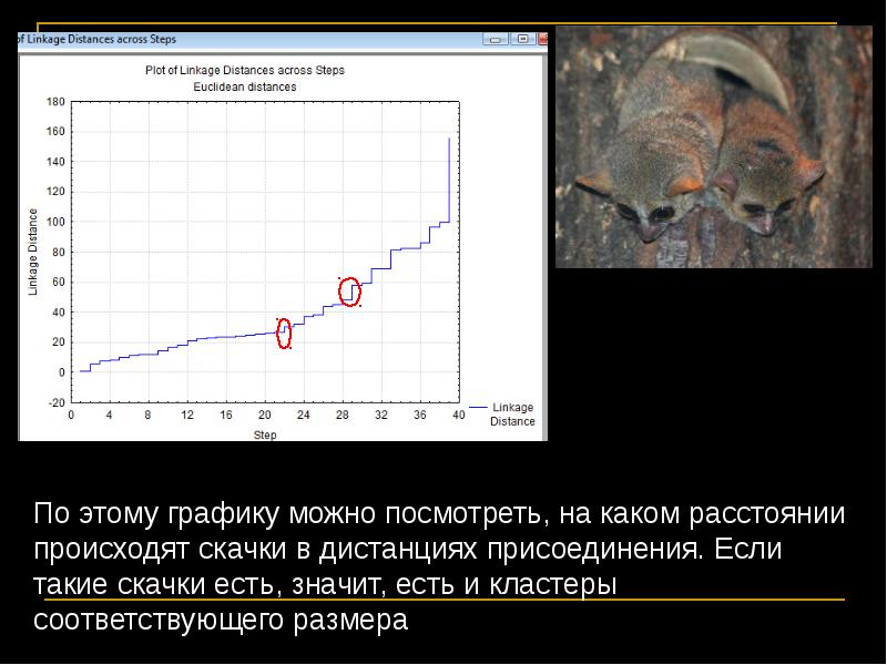 Факторный и кластерный анализ. Факторная Графика компьютерная Графика.