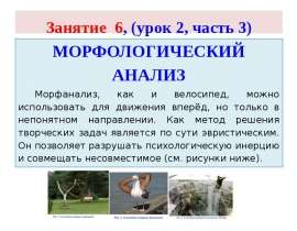 Морфологический анализ