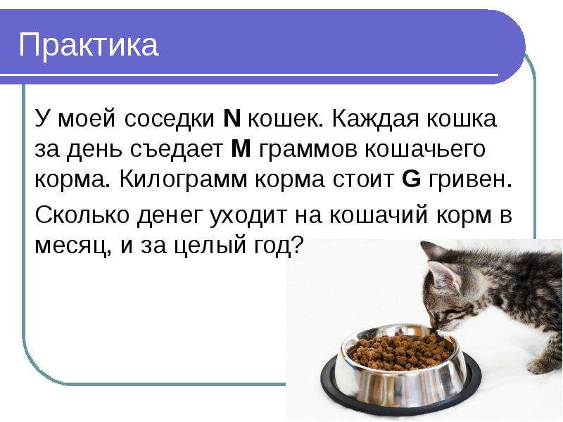 Грамм кота. Сколько денег уходит на корм для кошек. Презентация корма для кошек. Сколько денег уходит на кошку в месяц. Сколько кг корма съедает кошка в месяц.