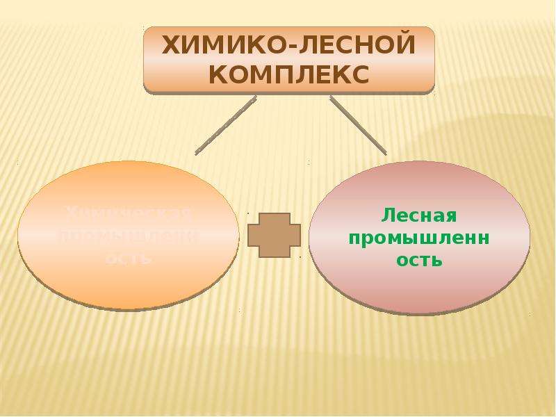 Химико лесные базы