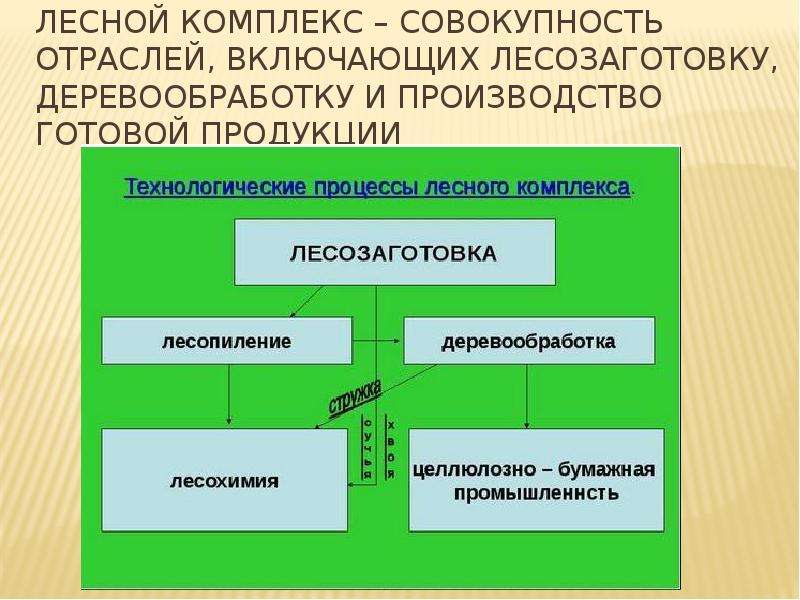 Презентация химико лесной комплекс