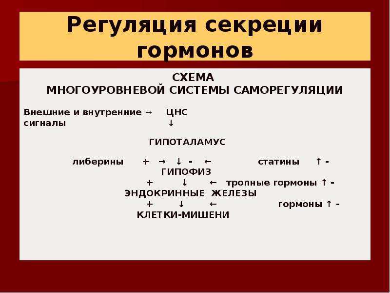 Регуляция секреции. Регуляция секреции гормонов. Либерины регуляция секреции гормонов. Регуляция секреции гормон тропная. Цепь регуляции гормональной секреции.