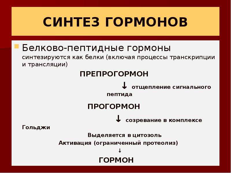 Особенности синтеза. Синтез белково пептидных гормонов. Синтез гормонов пептидной природы. Гормоны белково-пептидной природы. Схема синтеза гормонов белков.