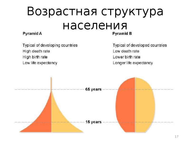 Возрастная структура населения