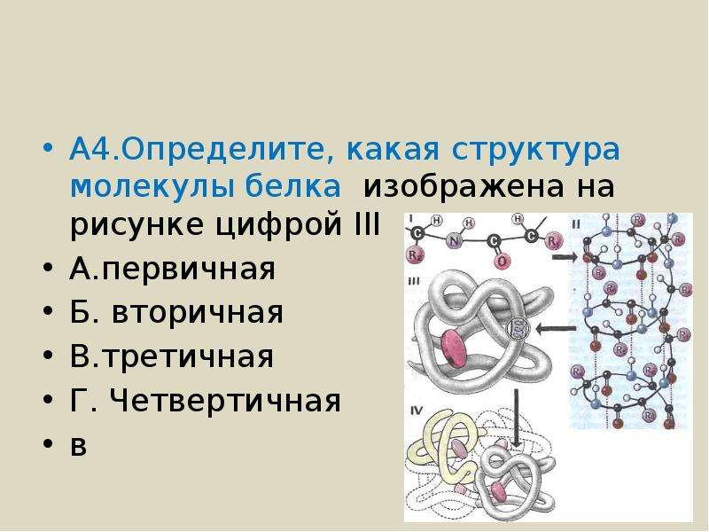 Определите структуру белка. Структура молекулы белка первичная вторичная третичная четвертичная. Структура гемоглобина первичная вторичная третичная четвертичная. Какая структура белковой молекулы. Элементы третичной структуры белка строение.