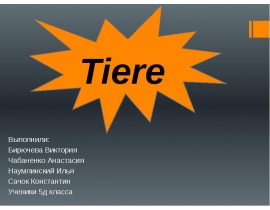 Tiere. Haustier