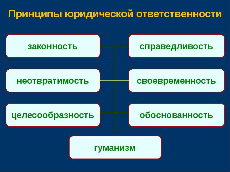 Принципы юридической ответственности