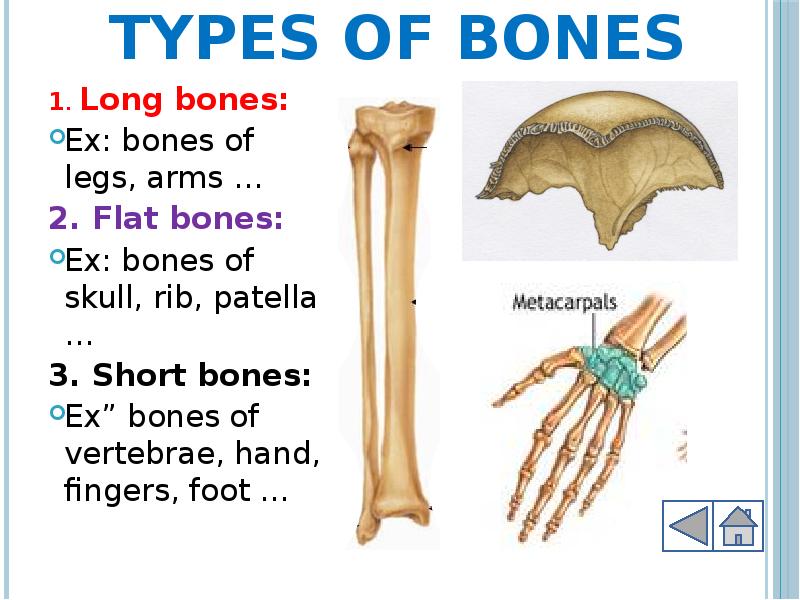 Доклад: Broken bones