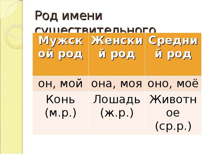 Презентация склонения существительных 4 класс. Животное среднего рода. Она моя он мой род существительных. Роды существительных в русском языке. Средни1=й род.