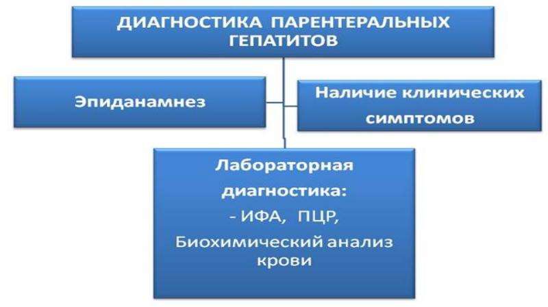 Парентеральные гепатиты презентация