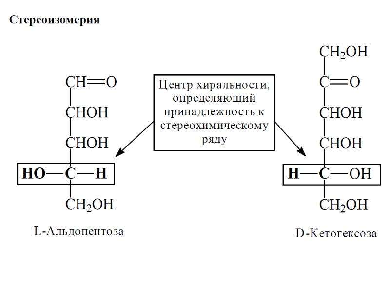 Стереоизомерия. Фруктоза хиральные центры. Пространственная конфигурация моносахаридов. Хиральный центр у углеводов. Стереоизомеры моносахаридов.