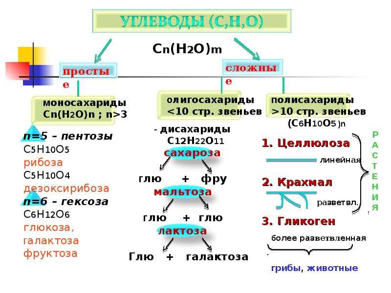 Проанализируйте таблицу классификация липидов