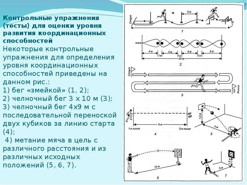 Контрольное занятие. Контрольные упражнения (тесты) для определения уровня развития. Контрольные упражнения на ловкость. Тесты для координационных способностей. Контрольные упражнения тесты координационные способности.