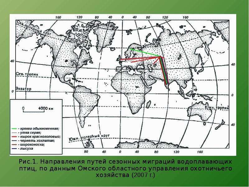 Экология омской области презентация