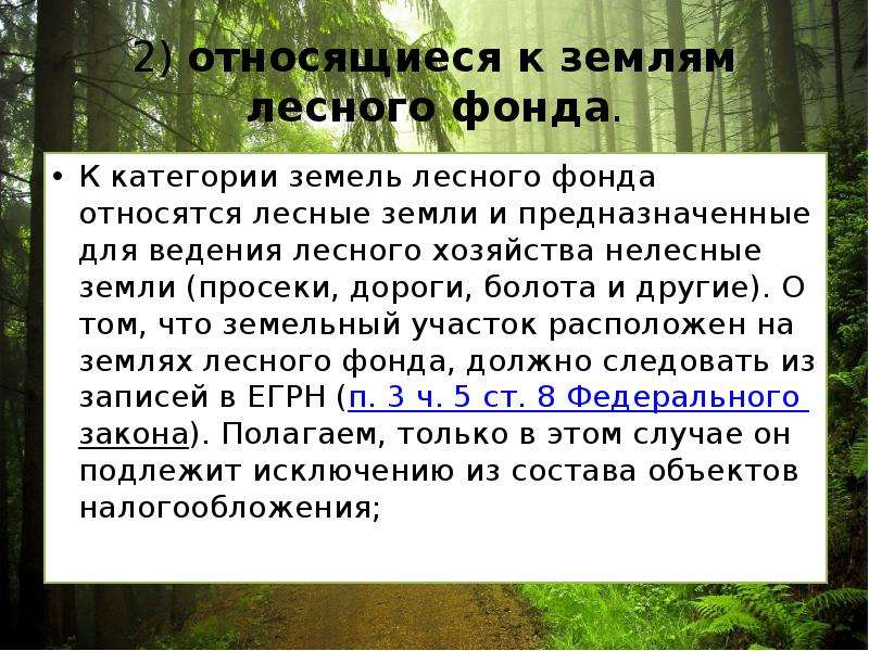 Что относится к земле. Категория земель земли лесного фонда. Лесные и нелесные земли лесного фонда. Категории земель в Лесном хозяйстве. Категории лесного фонда.