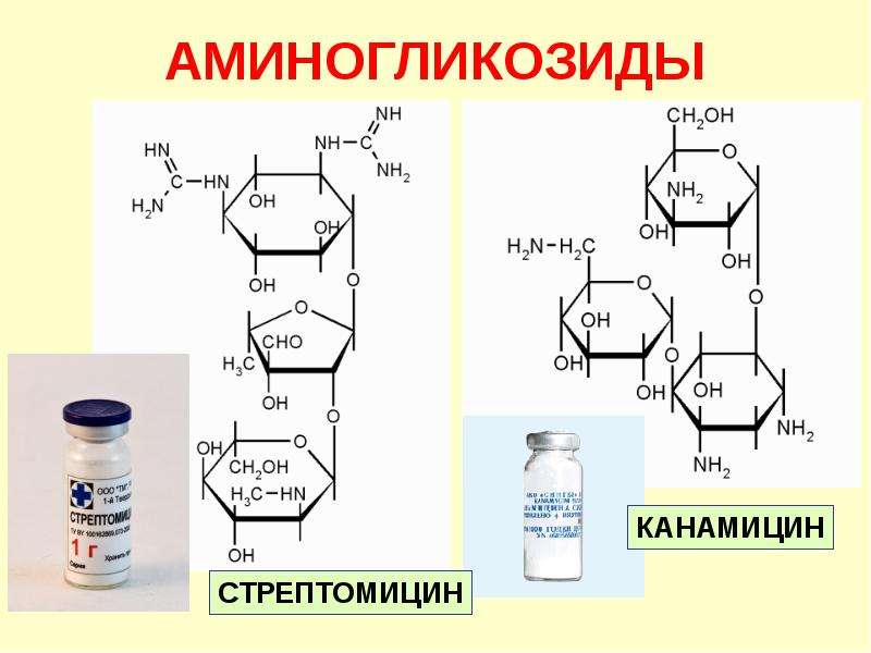 Аминогликозиды презентация по фармакологии