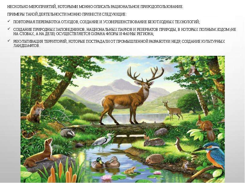 Несколько мероприятий, которыми можно описать рациональное природопользование. Несколько мероприятий