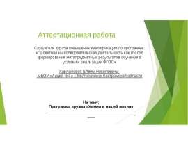 Аттестационная работа. Химия в нашей жизни