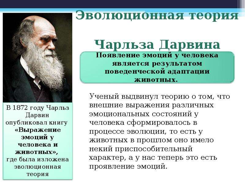 Теория эволюции дарвинизм. Теория Чарльза Дарвина. Ч Дарвин теория эволюции. Теория Дарвина и эволюционная теория. Эволюционная теория Чарльза Дарвина.