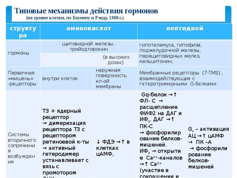 Гормоны первой группы. Типовые механизмы действия. Механизм действия гормонов на уровне клетки. Типовые механизмы действия гормонов. Гормональные препараты типовые механизмы действия.