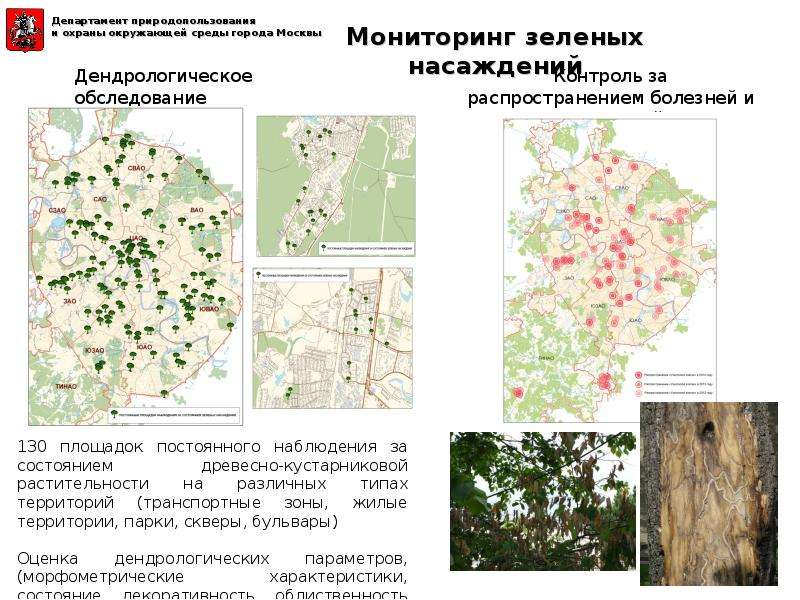 План инвентаризации насаждений