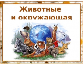 Урок2 среды обитания