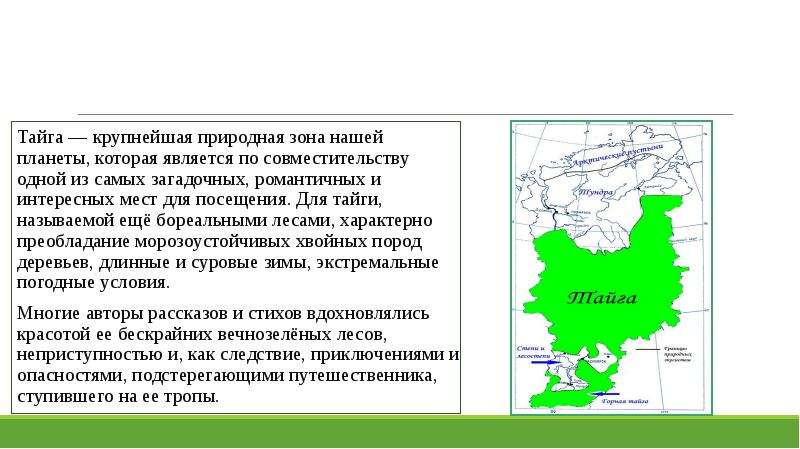 Таежная зона презентация 8 класс география