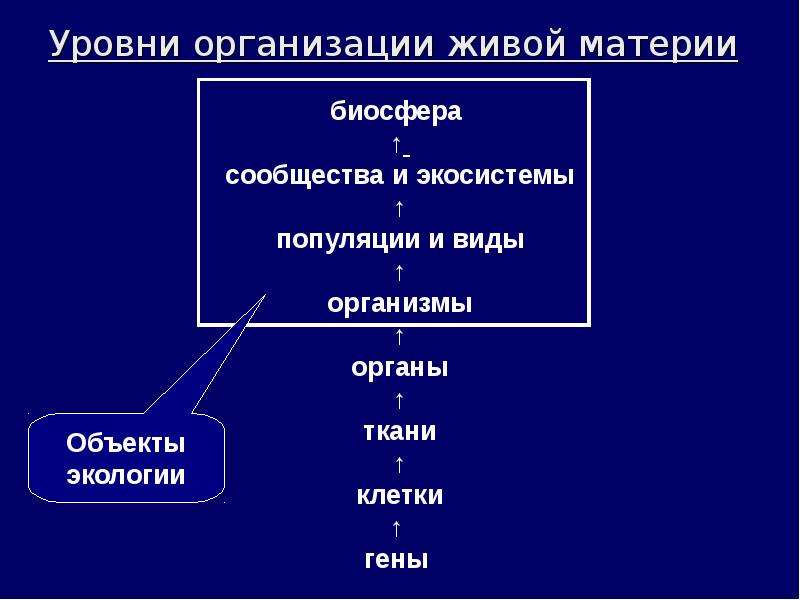 Живая материя подразделяется на уровни. Уровни организации экологии. Уровни организации живой материи экология. Биосфера уровень организации живой материи. Уровни организации материи экология.