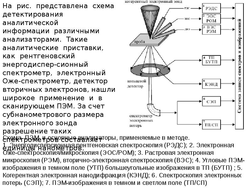 Электронная микроскопия принцип микроскопии