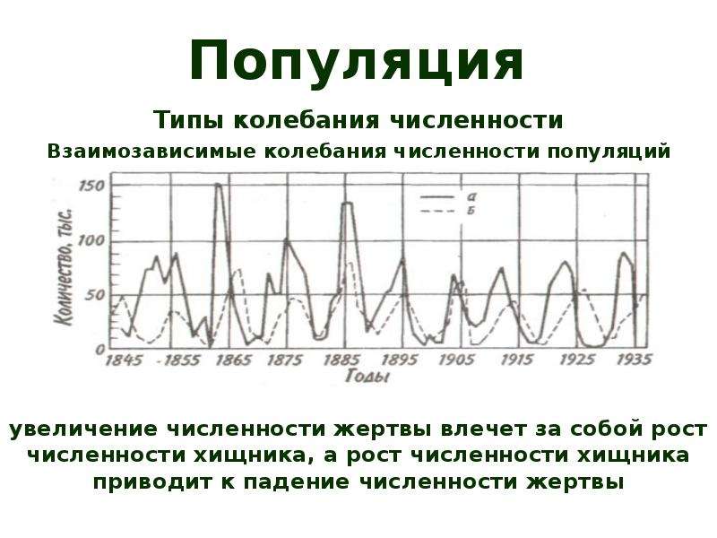 Колебания численность популяции в природе. Колебания численности популяции. Хищник жертва колебание численности популяции. Динамика численности популяции хищника и жертвы. Типы колебания численности.