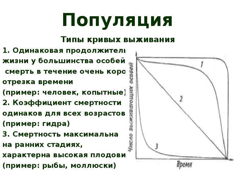 Популяция биосфера