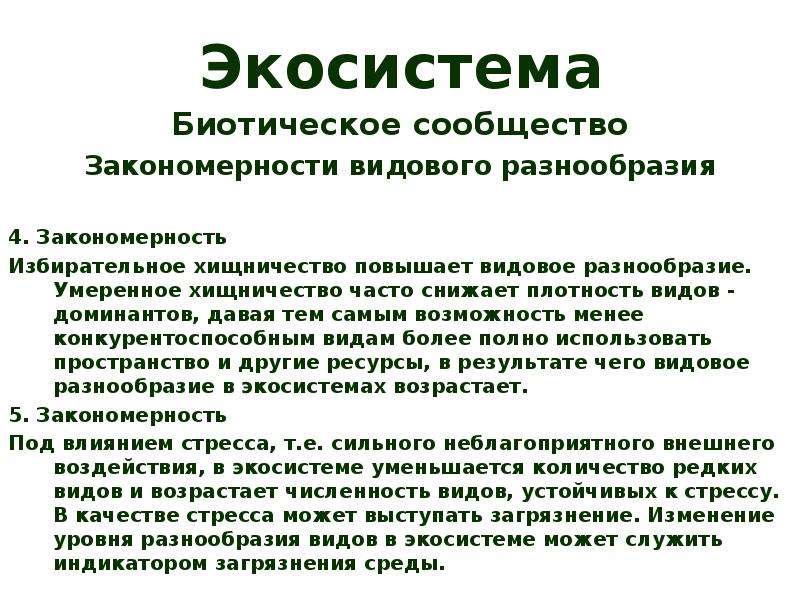 Изначальным источником энергии в большинстве экосистем служат