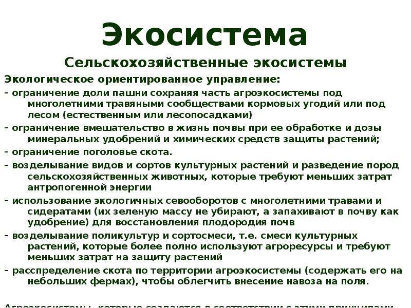 Презентация популяция в экосистеме 11 класс беляев