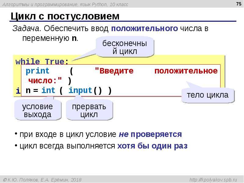 While в программировании python