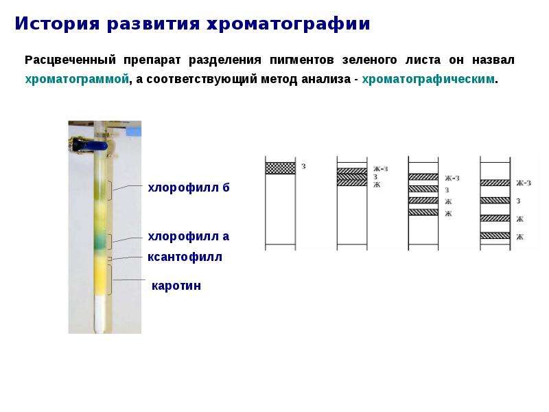 Бумажная хроматография презентация