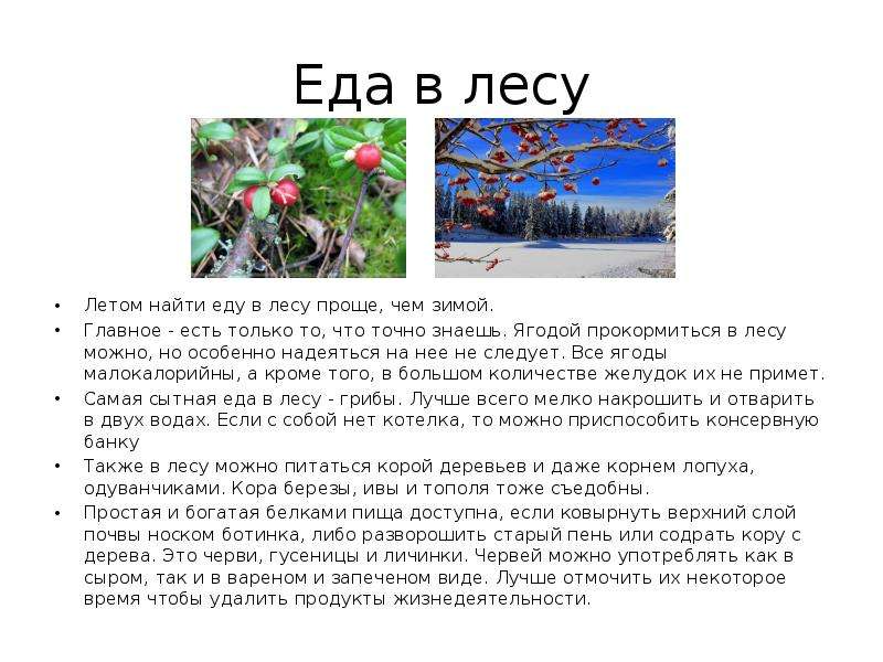 Текст летом в лесу 5 класс. Текст летом в лесу. Текст как хорошо летом в лесу.