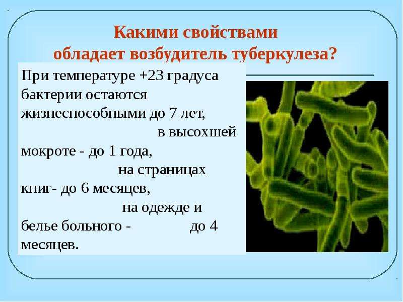 Проект не обладает такой характеристикой как