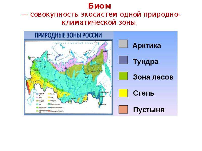 Соответствие климатической зоны природным зонам. Биом — совокупность экосистем одной природно-климатической зоны. Климатические зоны и биомы. Биомы России. Основные биомы земли таблица.