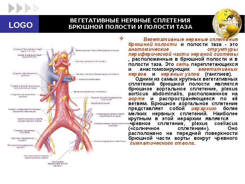 Нервная колика