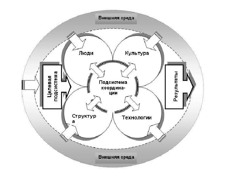 Внутренняя среда организации картинки