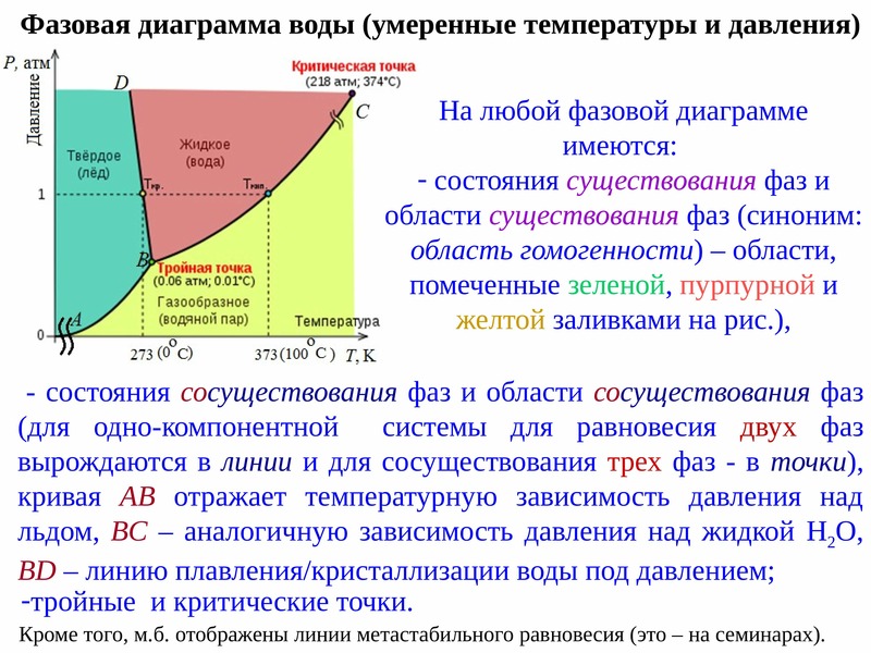 Равновесные фазы на диаграмме состояния