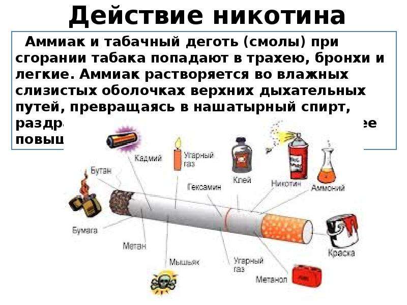 Исследование никотина